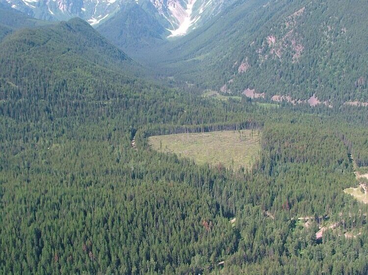 فندق صغير Glacier Haven Inn