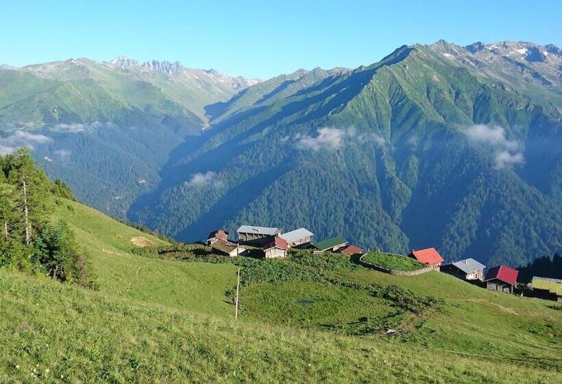 پانسیون Demircioglu Pokut Dag Evi