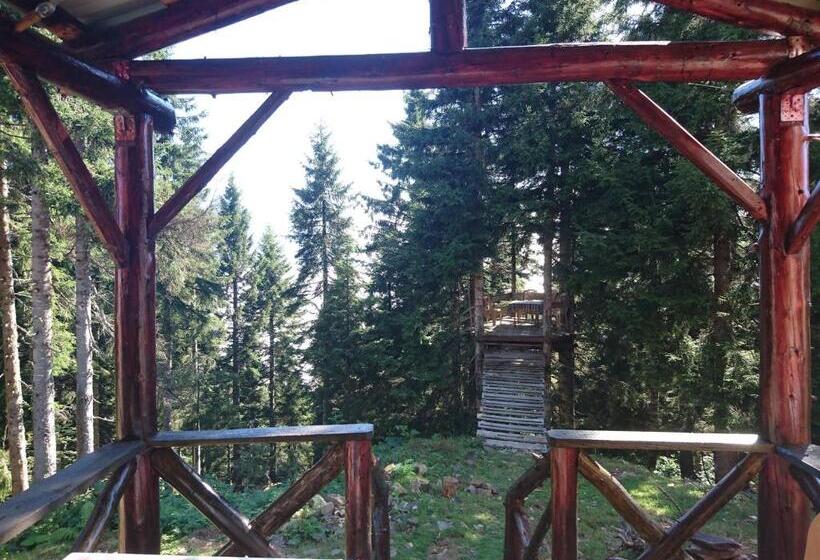 پانسیون Demircioglu Pokut Dag Evi