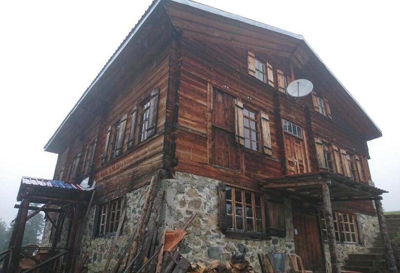 پانسیون Demircioglu Pokut Dag Evi