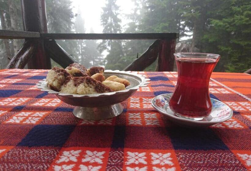 پانسیون Demircioglu Pokut Dag Evi