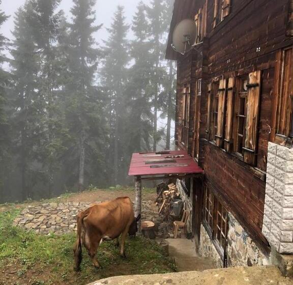 پانسیون Demircioglu Pokut Dag Evi