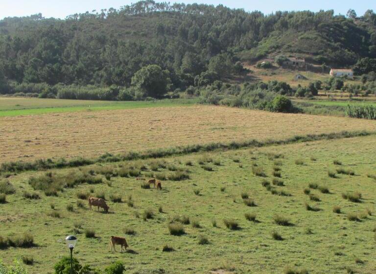 Panzió Hospedaria Firmino Bernardino