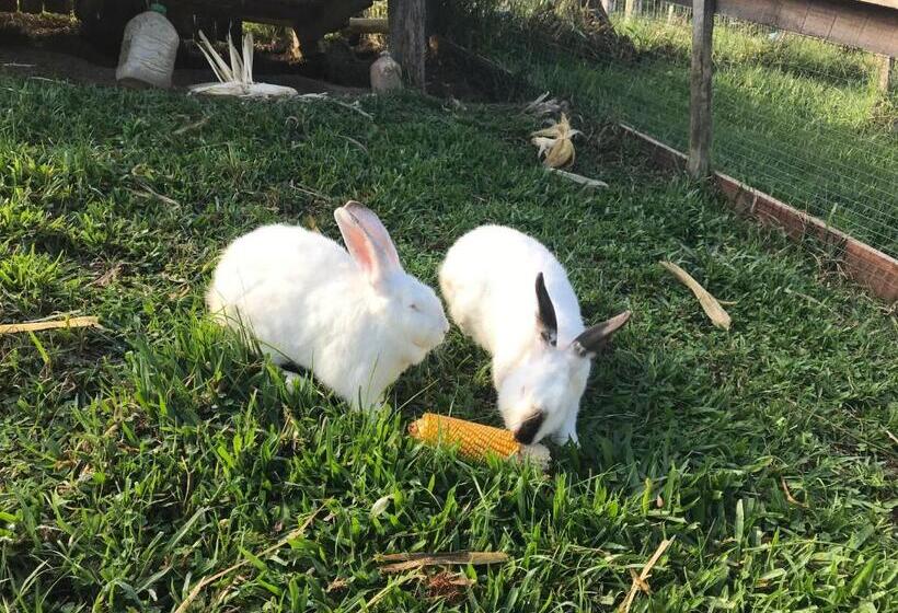 펜션 Pousada Das Hortênsias