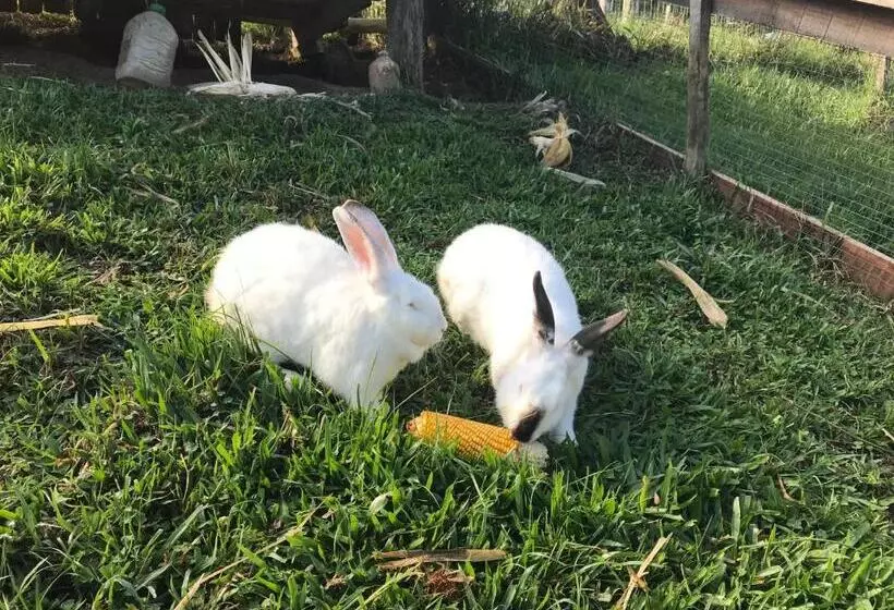 Majatalo Pousada Das Hortênsias