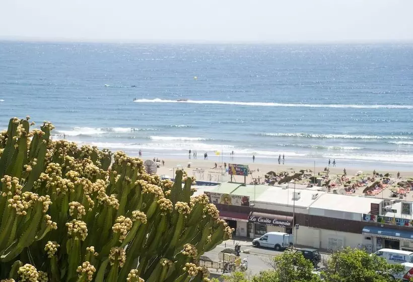 Apartamentos El Paseo