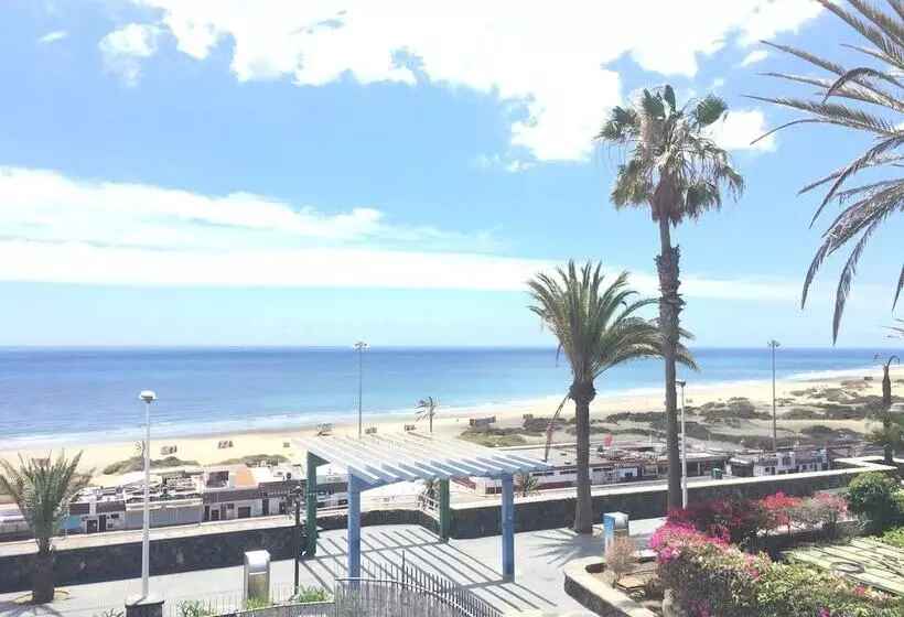 Apartamentos El Paseo