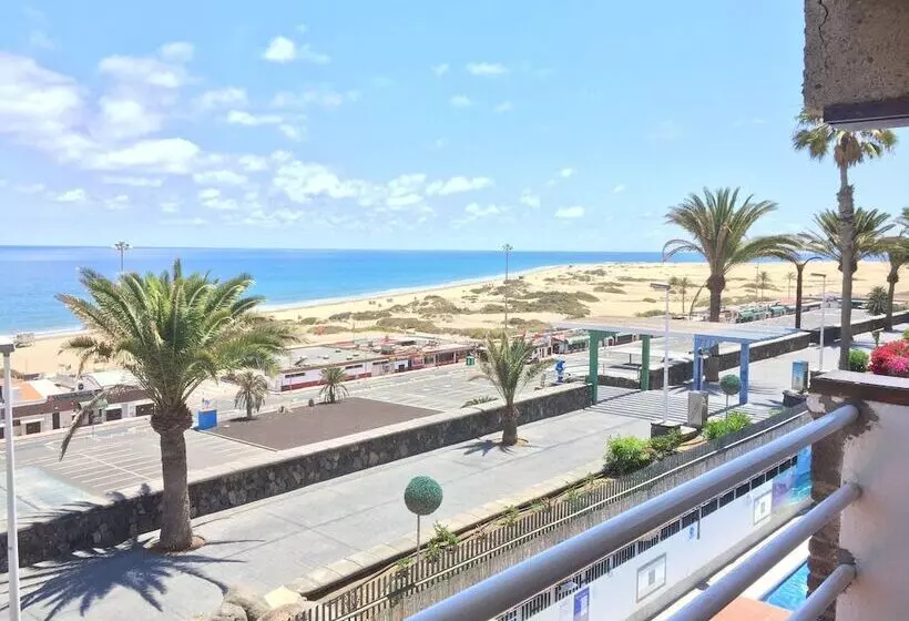 Apartamentos El Paseo