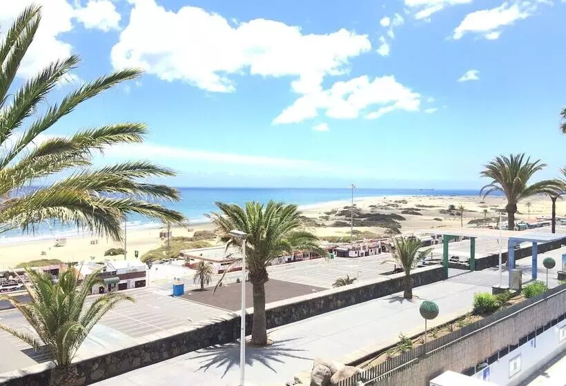 Apartamentos El Paseo