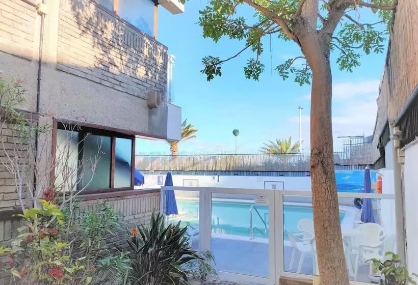 Apartamentos El Paseo