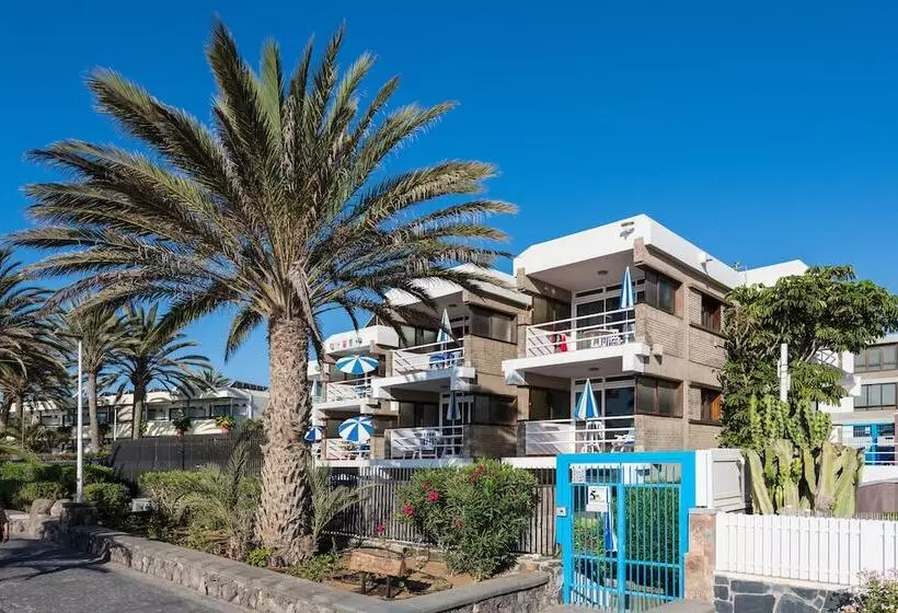 Apartamentos El Paseo