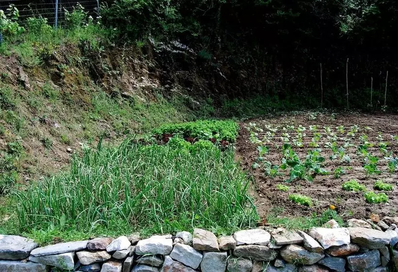 בית מלון כפרי Jennifer Home