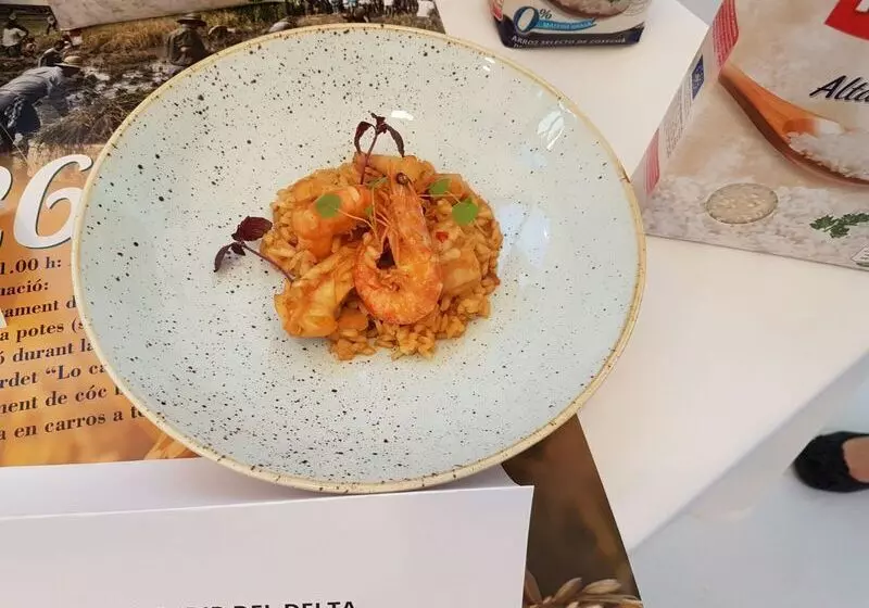 酒店 L Algadir Del Delta