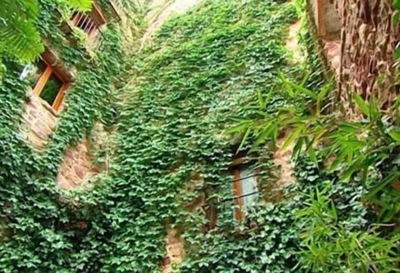 Сельский отель El Jardín Vertical