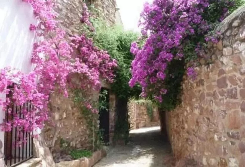 فندق ريفى El Jardín Vertical