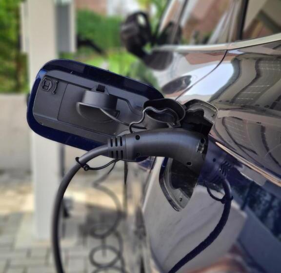 酒店 Pareus Beach Resort