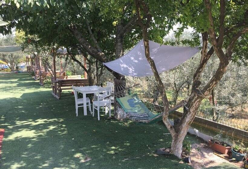 İznik Anatolia Butik Otel