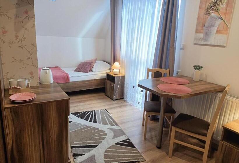 پانسیون Słoneczny Dworek