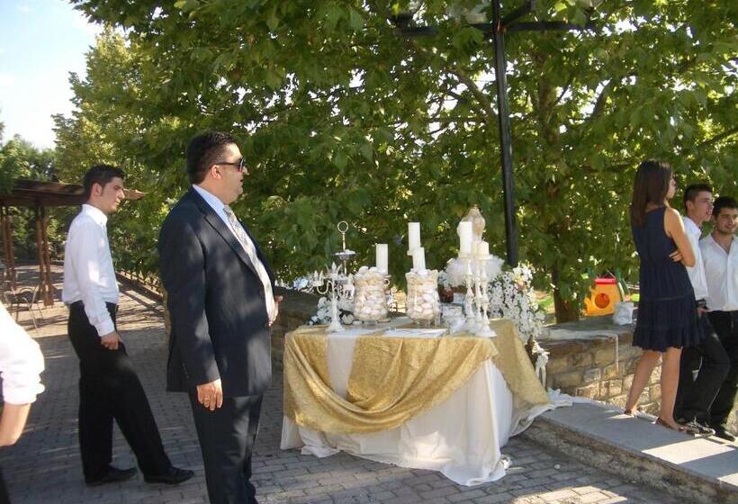 בית מלון כפרי αchillion Grevena