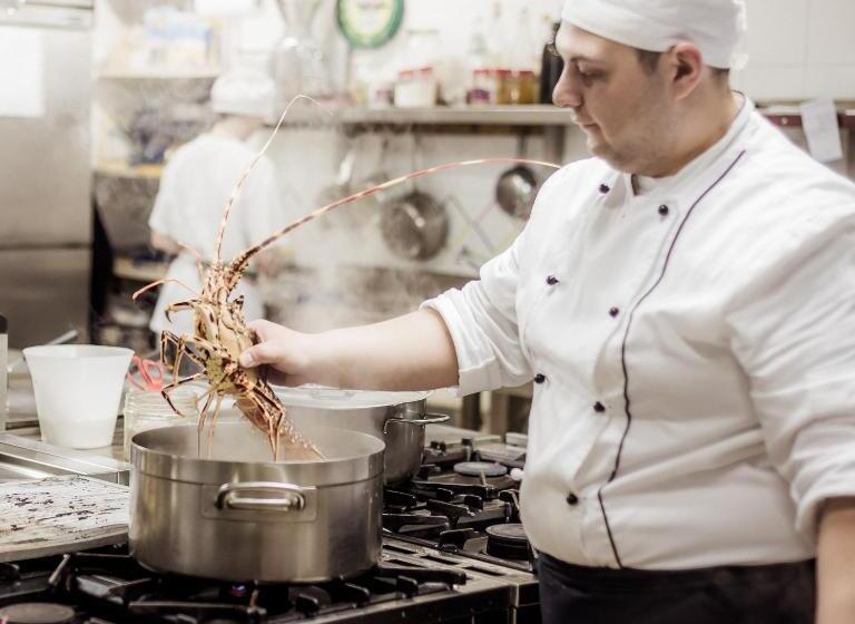 בית מלון כפרי Janus