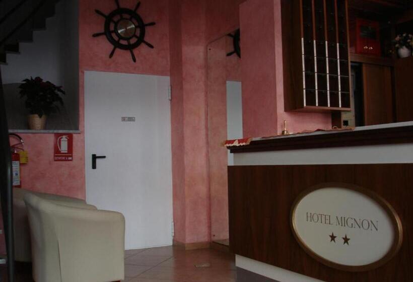 Отель Mignon