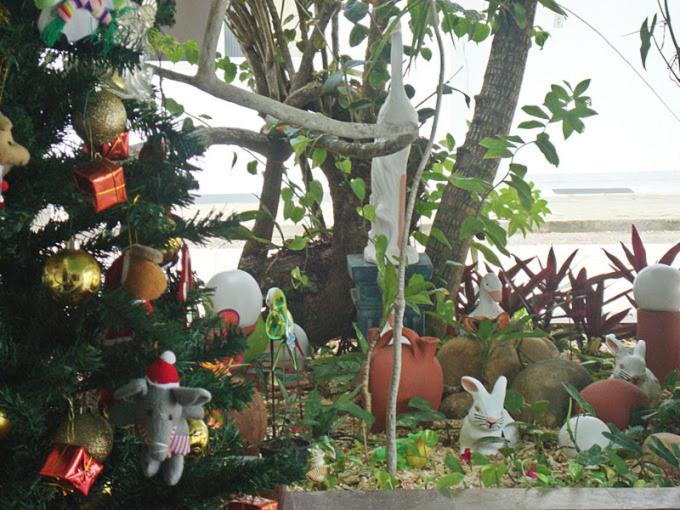 Отель Pousada Terras Do Sem Fim