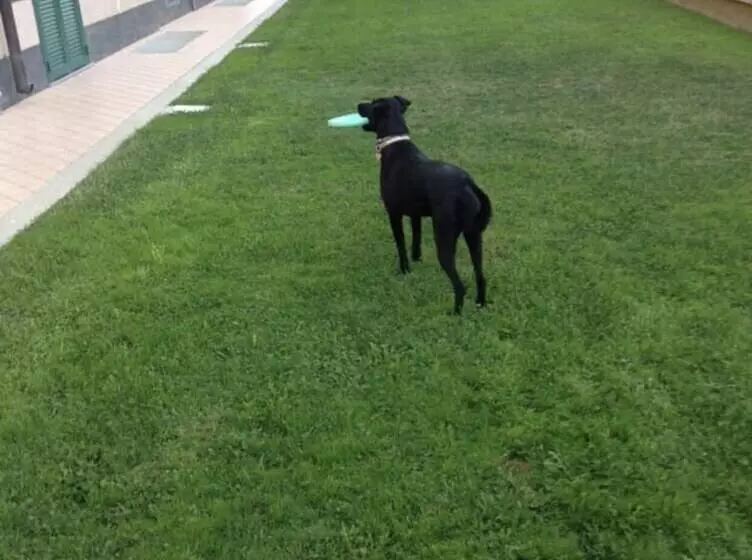 酒店 Residence Le Saline