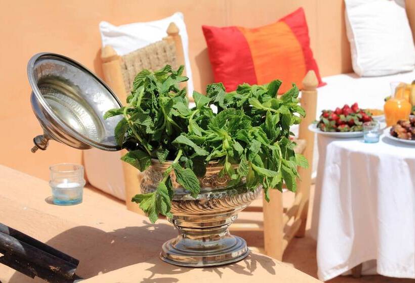 Riad Dar Aicha En Exclusivité