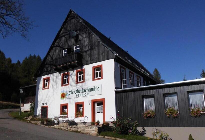 Die Oberlochmühle Pension