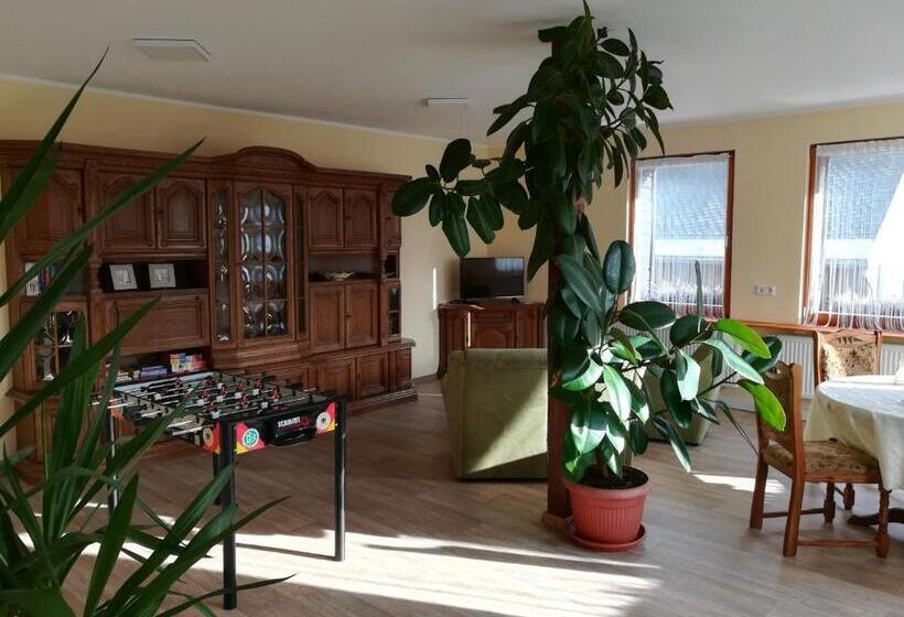 Die Oberlochmühle Pension