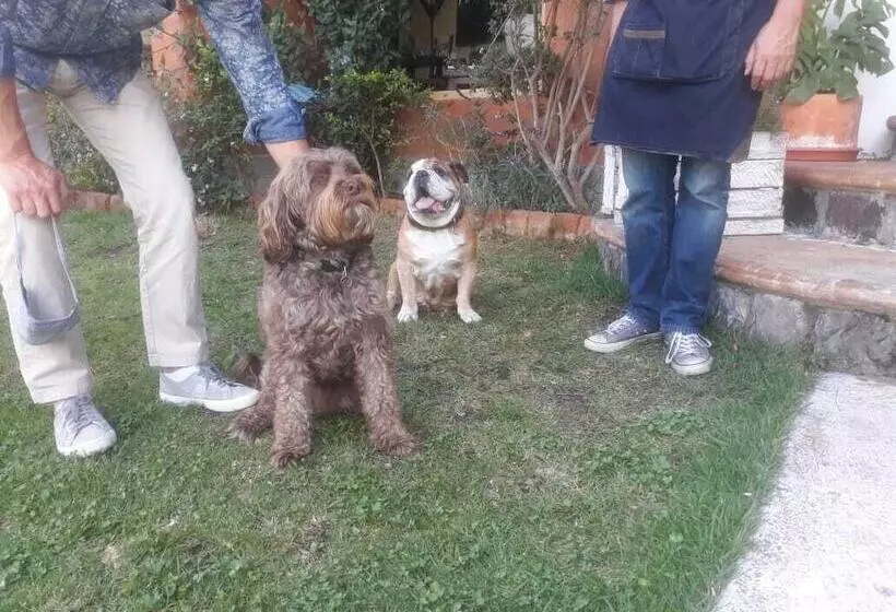 ホテル Ilatoa Lodge