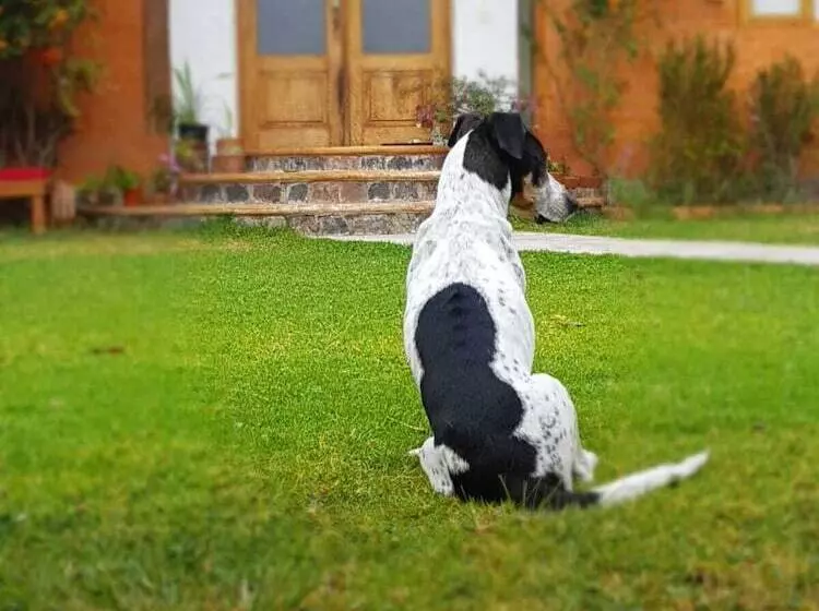 ホテル Ilatoa Lodge