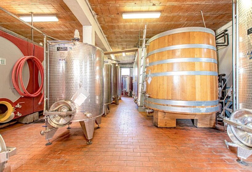 هتل روستایی Stefano Resort