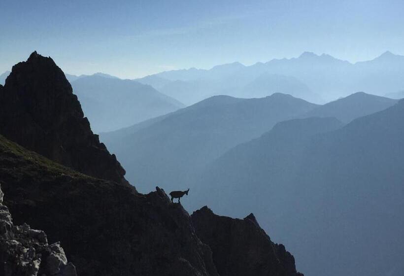 Pension Alpenhaus Monte