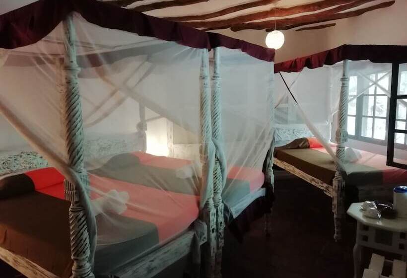 Aquarius Club International Resort