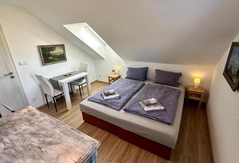 ペンション Třeboňský Penzion