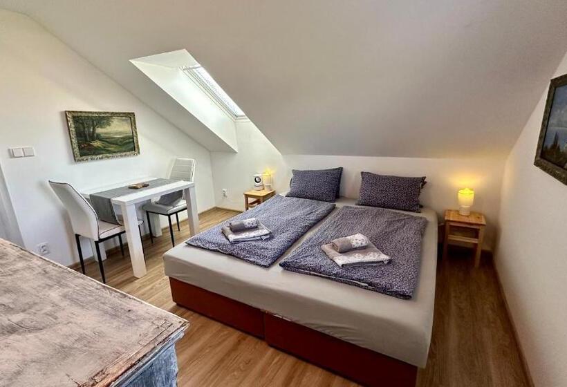 ペンション Třeboňský Penzion