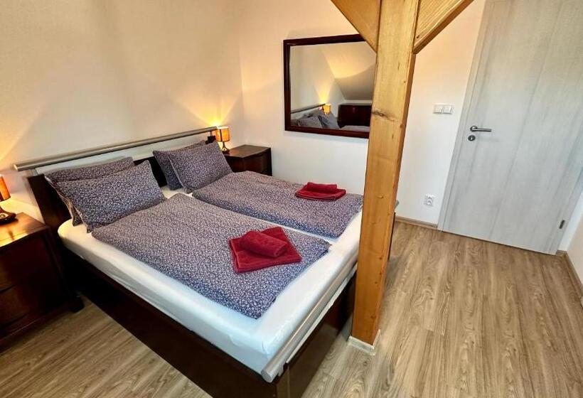 ペンション Třeboňský Penzion