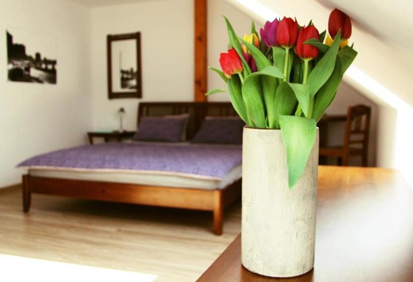 ペンション Třeboňský Penzion