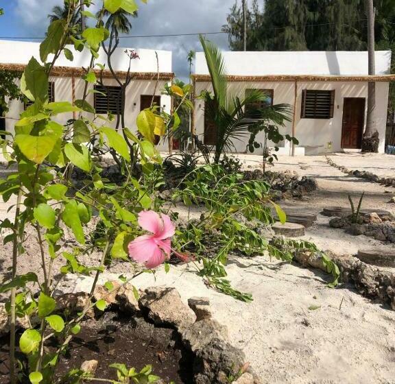 هاستل Liquid Life By Buccaneer