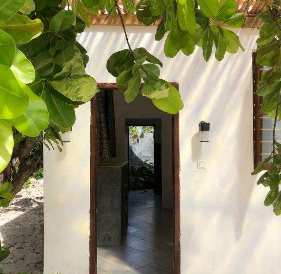 هاستل Liquid Life By Buccaneer