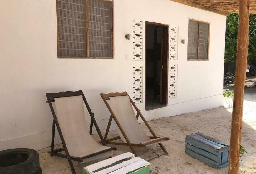 هاستل Liquid Life By Buccaneer