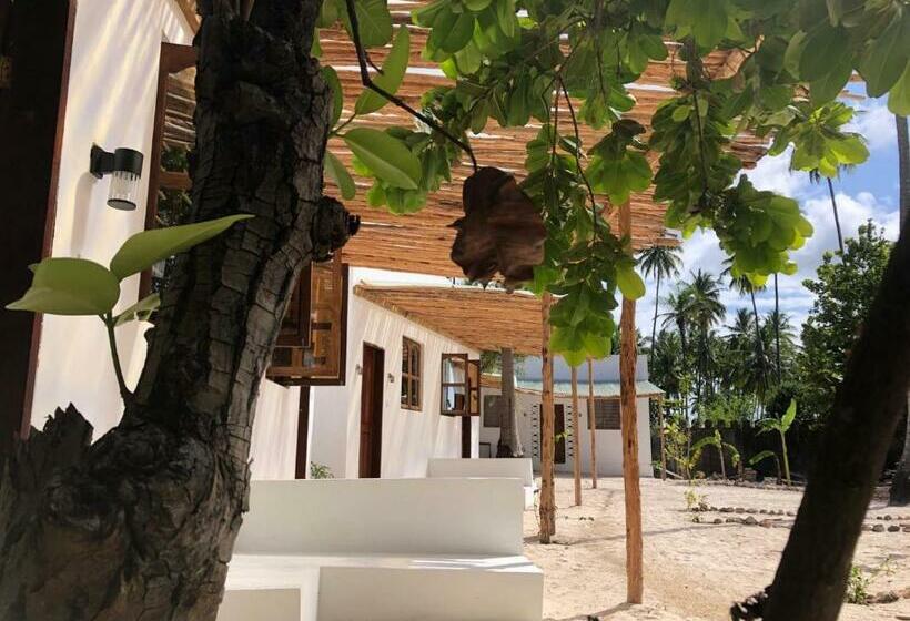 هاستل Liquid Life By Buccaneer