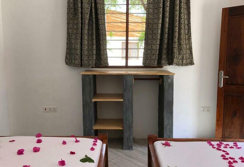 هاستل Liquid Life By Buccaneer