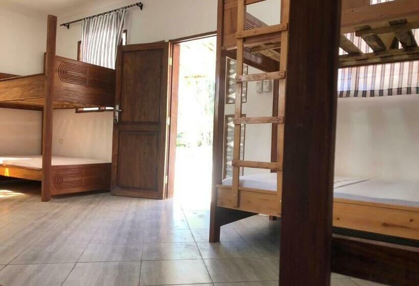 هاستل Liquid Life By Buccaneer