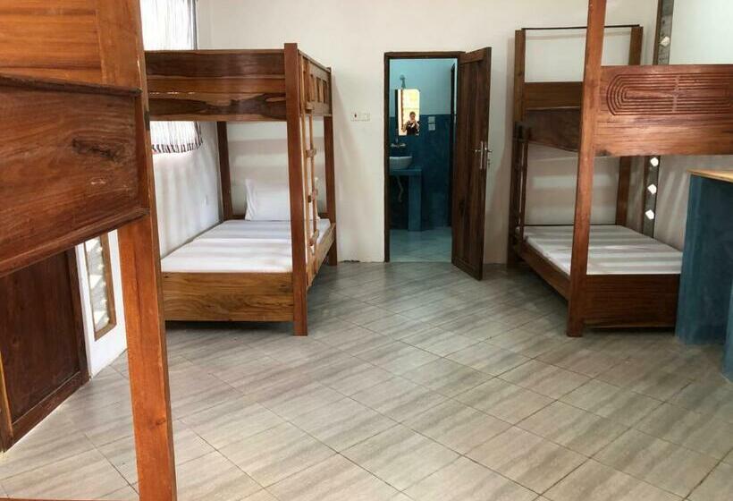 هاستل Liquid Life By Buccaneer