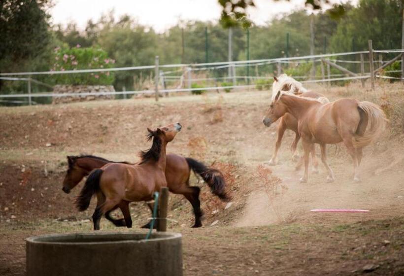 בית מלון כפרי Agriturismo Podere Poggiarone
