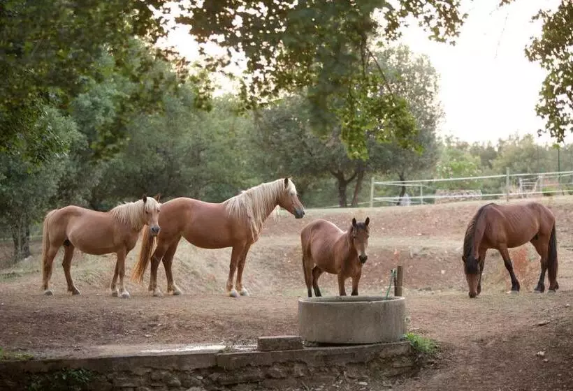 Hotelli Agriturismo Podere Poggiarone