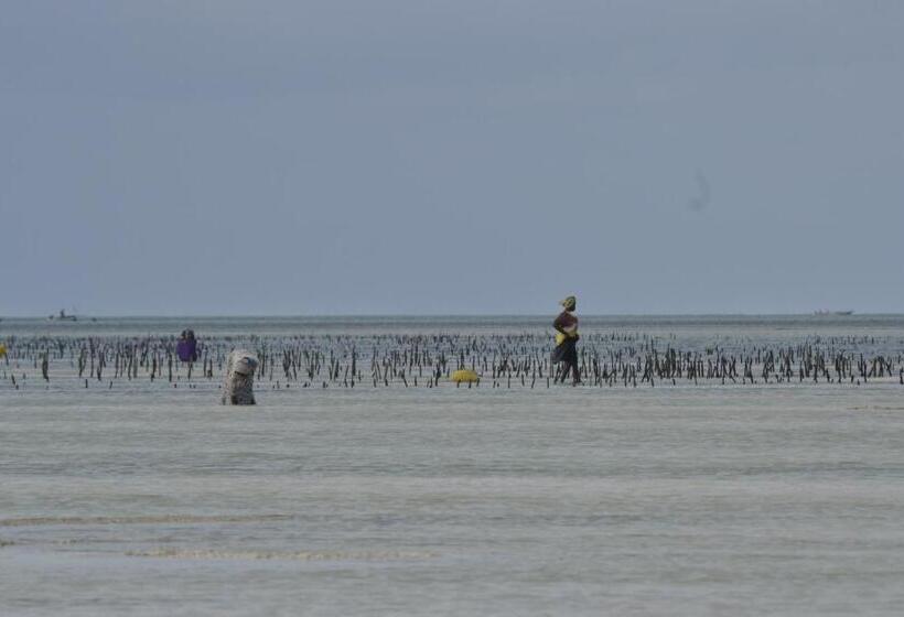 هتل Mem Luxury Apartments And