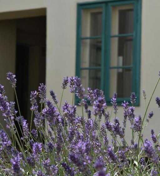 Zsolnay Negyed Vendégháza